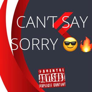 Cant Say Sorry (Explicit)