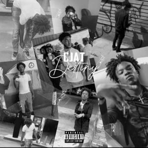 Destiny (Explicit)