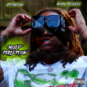 Mixed Perception (Explicit)