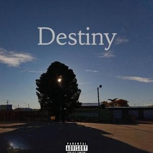 Destiny (Explicit)