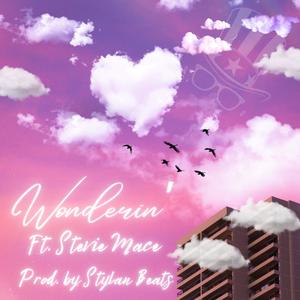 Wonderin' (feat. Stevie Mace)