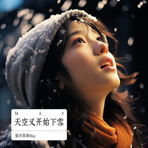 天空又开始下雪