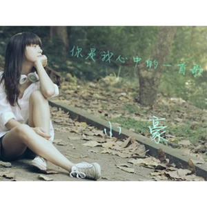你是我心中的歌