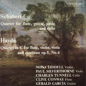 Quartet for Flute, Guitar, Viola and Cello, D.96: III. Lento e patetico