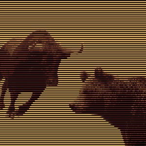 bear/BULL (Explicit)