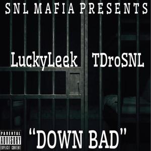 Down Bad (feat. DroSNL) [Explicit]