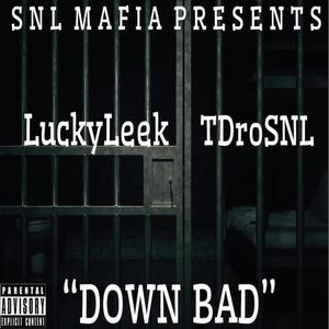 Down Bad (feat. DroSNL) (Explicit)