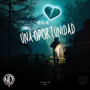 UNA OPORTUNIDAD