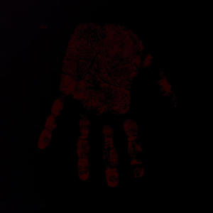 NO HIGH FIVES (feat. PoppaGat) (Explicit)