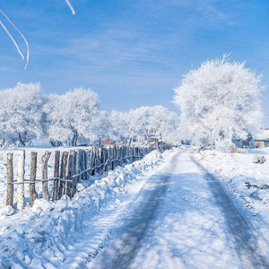 这里的冬天看不见雪