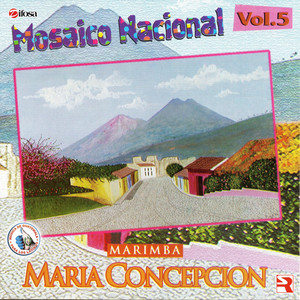 Mosaico Nacional Vol. 5. Música de Guatemala para los Latinos