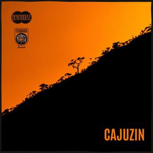 Cajuzin