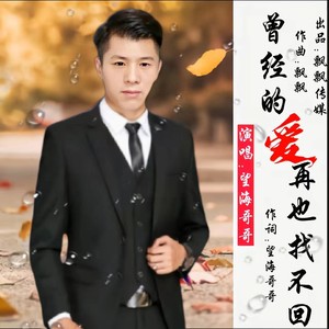 曾经的爱再也找不回 (男版)