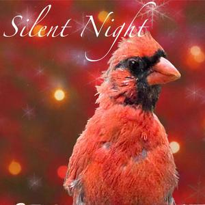 Silent Night (feat. Lauren Diamond & Melissa Guttman) (Acoustic Deep Cut)
