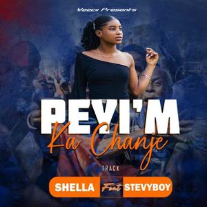 Peyi'm Ka Chanje (feat. Steevyboy)