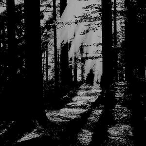 fallin (feat. orxcle) (Explicit)