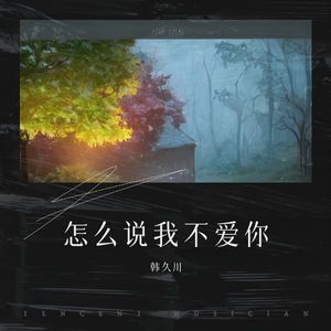 怎么说我不爱你-韩久川