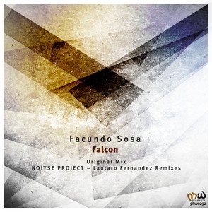 Falcon (Lautaro Fernandez Remix)
