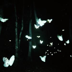 Seasonal Depression (Explicit)