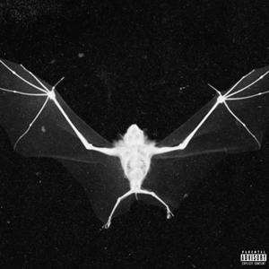 Book of Bats (Explicit)