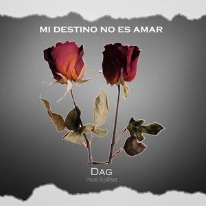 Mi Destino No Es Amar
