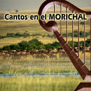 Cantos en el Morichal