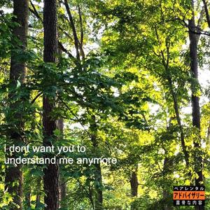 Can't Stop 2 (Explicit)