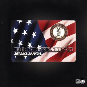 Food Stamps (Explicit)