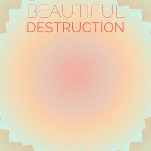 Beautiful Destruction