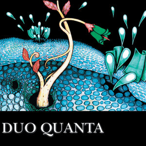 Duo Quanta