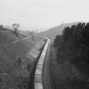 Whisper in the Night