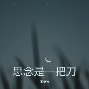 王老A - 心碎的夜