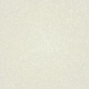 Baumgartner Fortepianist