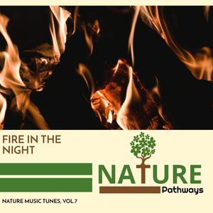 Fire in the Night - Nature Music Tunes, Vol.7