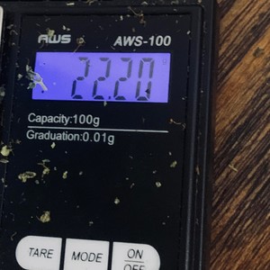 Clutch(feat. Kasey Grey) (Explicit)