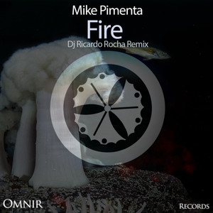 Fire (Dj Ricardo Rocha Remix)