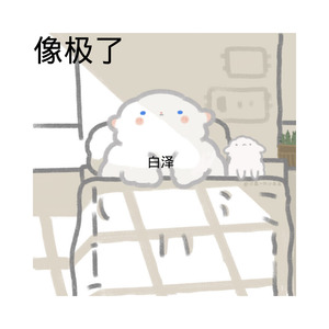 如果的事-八妹&小可&你的大美