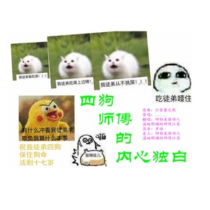 四狗师傅的内心独白