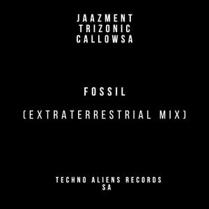 Fossil (Extraterrestrial Mix)