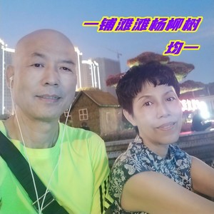 一铺滩滩杨柳树