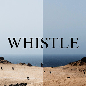 Whistle