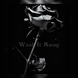 WASH IT AWAY (feat. BTM)