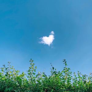 在夏季 等雨停