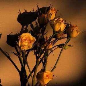 情人 (翻自 蔡徐坤)