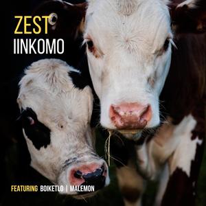 iiNkomo (feat. Boiketlo and Malemon)