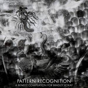 Pattern Recognition: A Benefit Compilation For Bradley Kokay