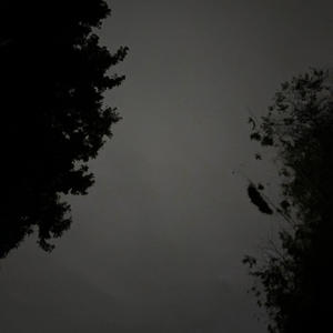 they dont love u (Explicit)