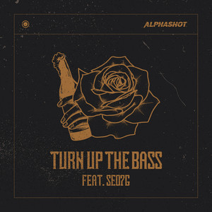 Turn Up The Bass (feat. SEO7G)