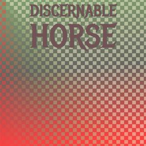 Discernable Horse