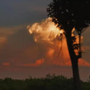 我在昨天的梦里又看见了你